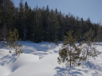 73826ReCrLe - A lovely Sunday afternoon walk with Beth at the George Langman Sanctuary   Each New Day A Miracle  [  Understanding the Bible   |   Poetry   |   Story  ]- by Pete Rhebergen